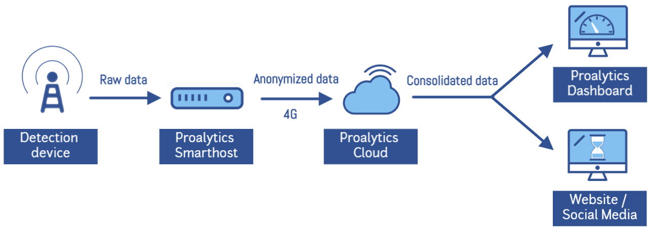 Proalytics Flow